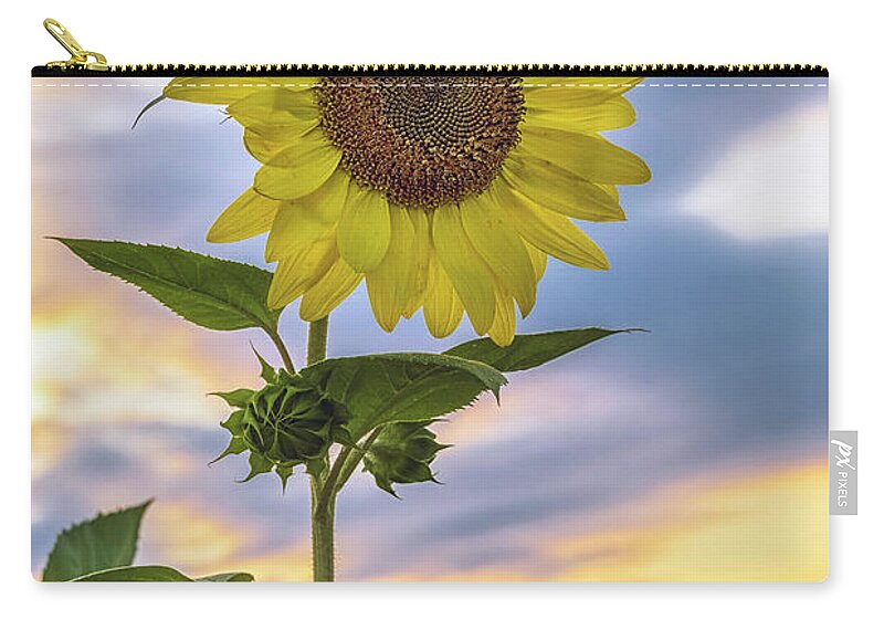 Flowers Zip Pouch featuring the photograph Summer Sunflower 2 by Robert Fawcett