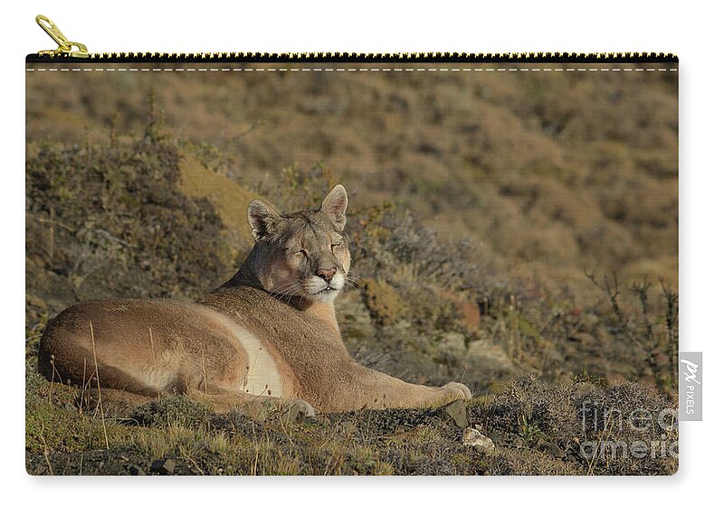 Chile Zip Pouch featuring the photograph Sun is in My Eyes by Patrick Nowotny