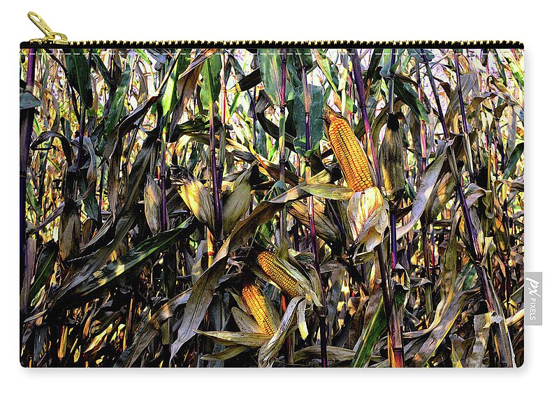 Corn Zip Pouch featuring the photograph Sun on a Cornfield by Wayne King