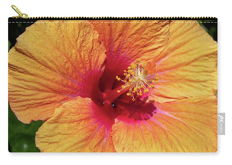Hibiscus Zip Pouch featuring the photograph Sun Reflection by Tony Spencer