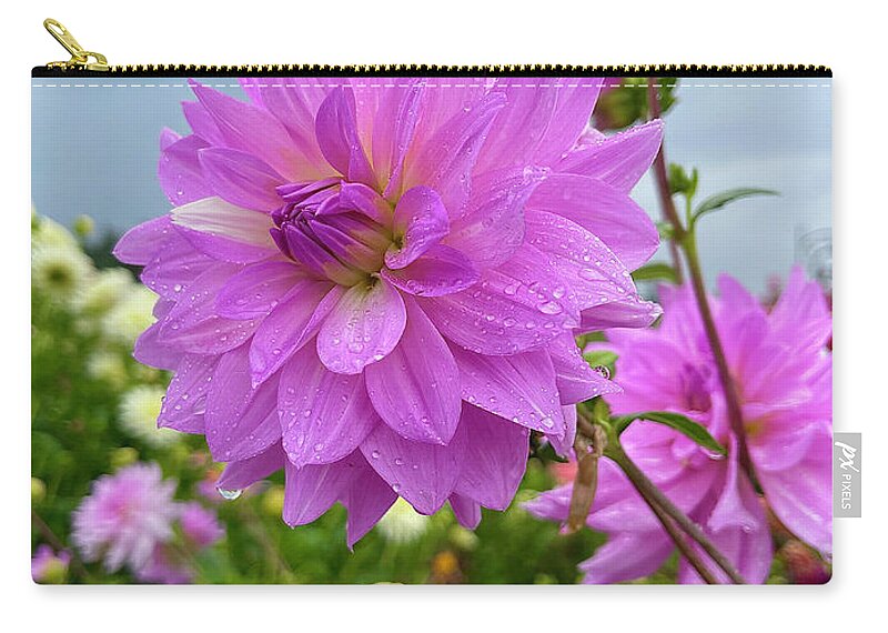 Flower Zip Pouch featuring the photograph Sun Searching by Brian Eberly