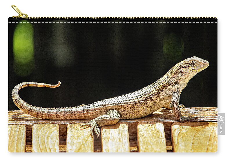 Lizard Zip Pouch featuring the photograph Sunbathing Lizard by Blair Damson