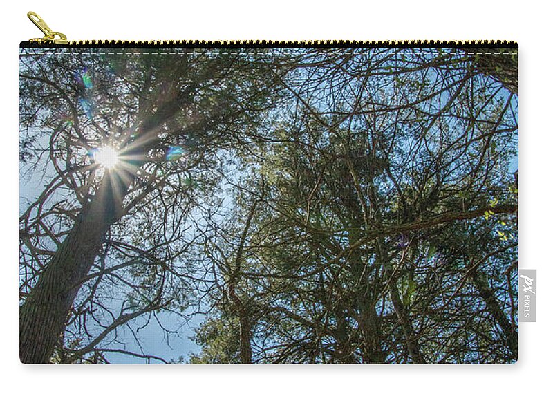 New Jersey Zip Pouch featuring the photograph Sunburst Through the White Cedars by Kristia Adams