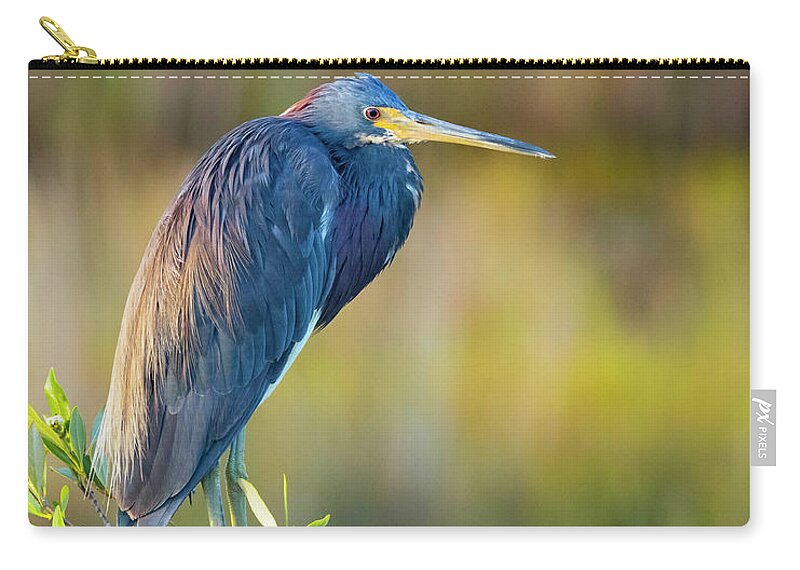R5-2601 Carry-all Pouch featuring the photograph Sunday morning scout by Gordon Elwell
