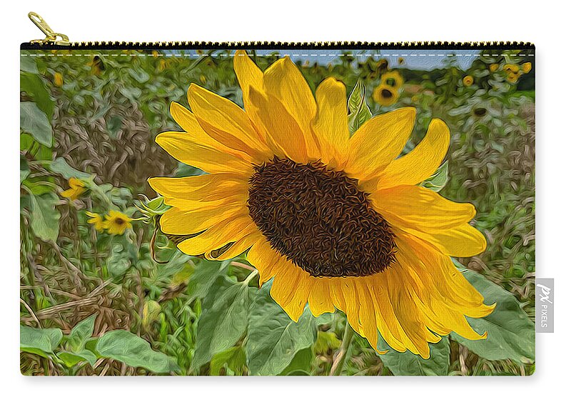 Sunflowers Zip Pouch featuring the photograph Sunflower 01 OP by Jim Dollar