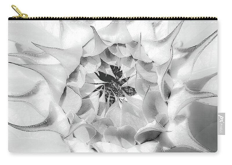 Sunflower Blossom Zip Pouch featuring the photograph Sunflower Blossom Black and White Abstract by Rebecca Herranen