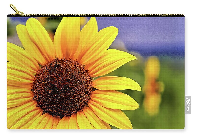 Sunflower Zip Pouch featuring the photograph Sunflower by Bob Falcone