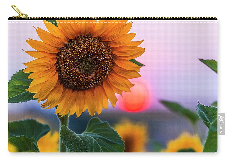 Bulgaria Zip Pouch featuring the photograph Sunflower by Evgeni Dinev