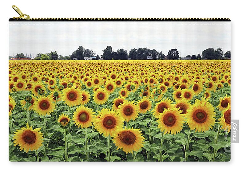 Sunflowers Zip Pouch featuring the photograph Sunflower Field 9464 by Jack Schultz