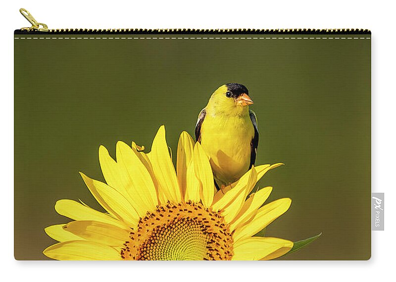 Ohio Zip Pouch featuring the photograph Sunflower Goldfinch by Teresa Jack