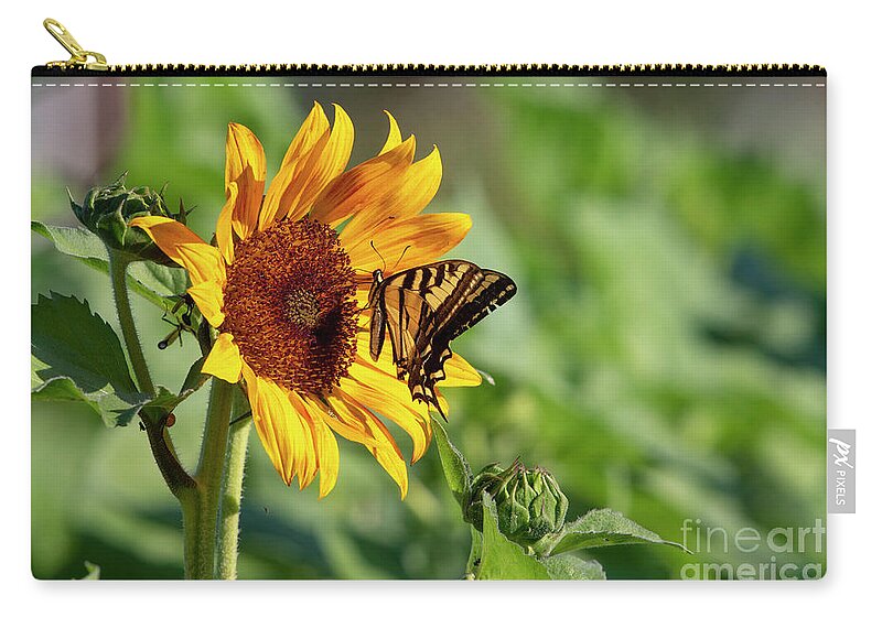 Garden Zip Pouch featuring the photograph Sunflower Nectar by Douglas Kikendall