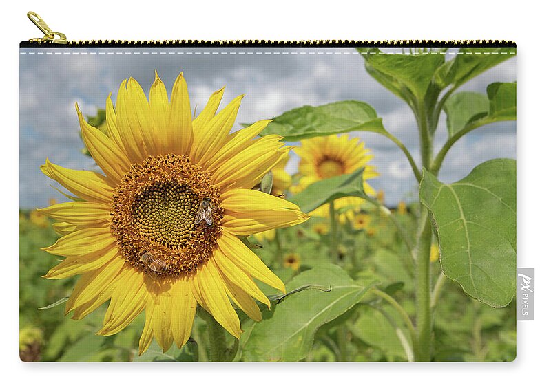 Sunflower Zip Pouch featuring the photograph Sunflower with Honeybee by Carolyn Hutchins