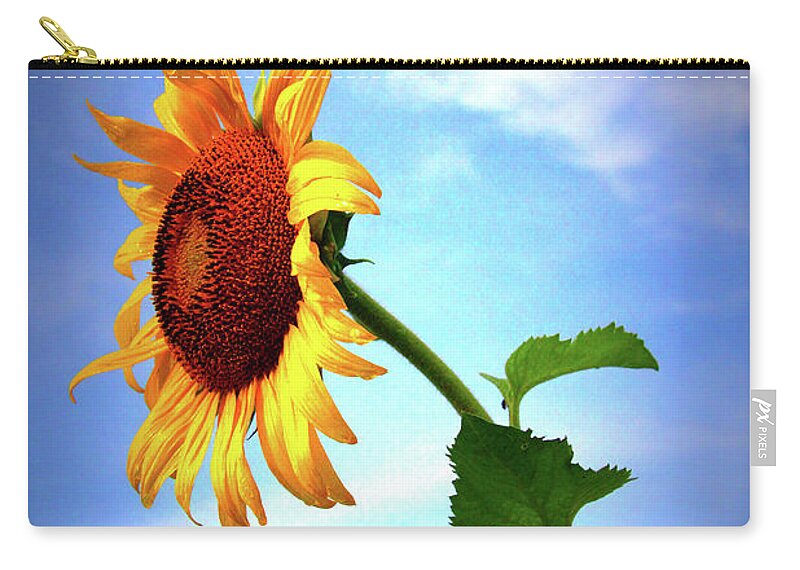 Sun Zip Pouch featuring the photograph Sunflower2136 by Carolyn Stagger Cokley