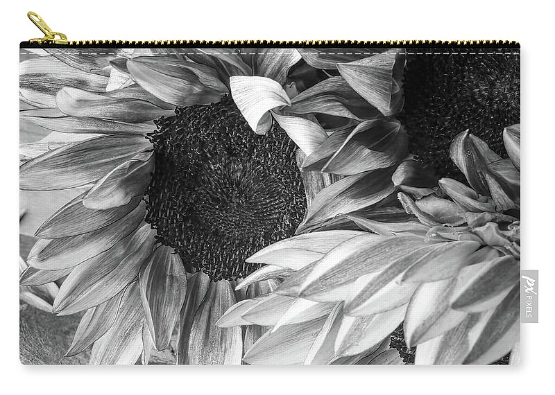 Sunflowers Zip Pouch featuring the photograph Sunflowers 1 by Connie Carr