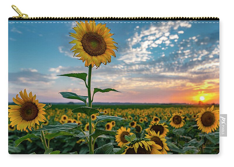 Landscape Zip Pouch featuring the photograph Sunflowers at Sunset by Michael Smith
