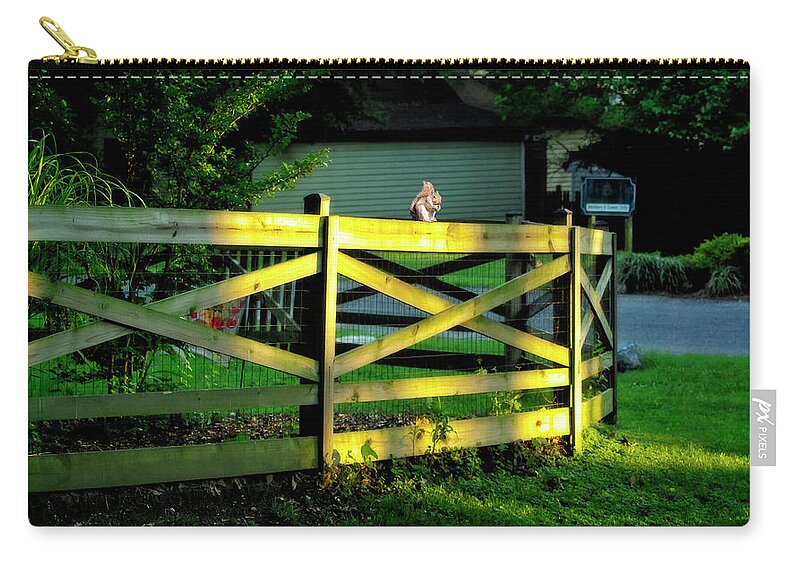 2d Zip Pouch featuring the photograph Sunlit Fence And Squirrel by Brian Wallace