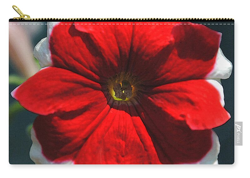 Petunia Zip Pouch featuring the painting Sunlit Petunia by Vallee Johnson