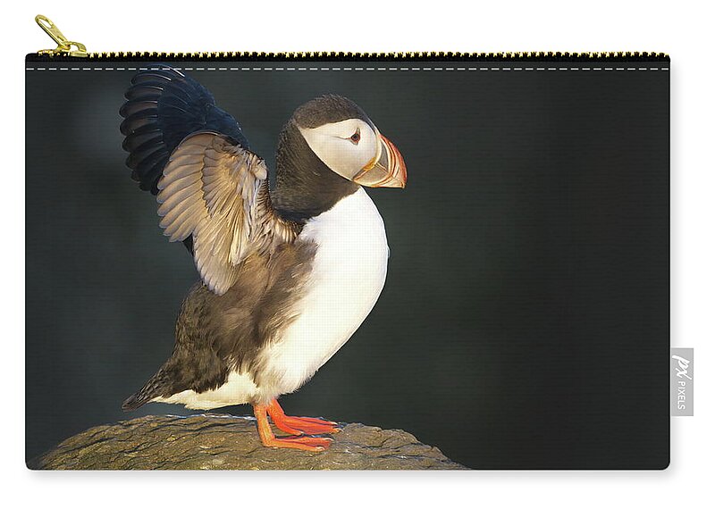 Iceland Zip Pouch featuring the photograph Sunlit wings by Christopher Mathews