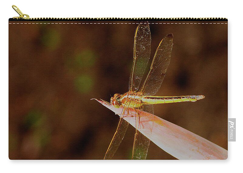 Dragonfly Zip Pouch featuring the photograph Sunning Dragon by Bill Barber