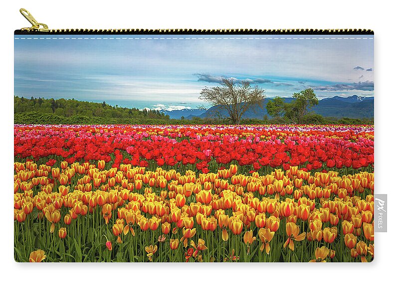 Alex Lyubar Zip Pouch featuring the photograph Sunny colorful tulip fields by Alex Lyubar