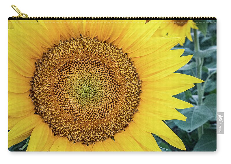 2022 Zip Pouch featuring the photograph Sunny Face by Gerri Bigler