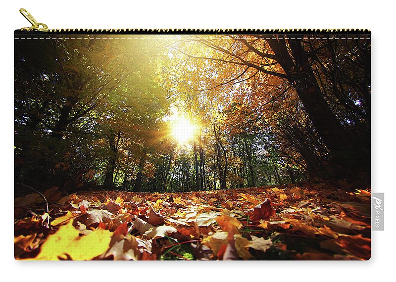  Zip Pouch featuring the photograph Sunny Fall Leaves by Nicole Engstrom