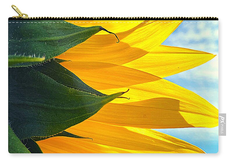 Sunflower Zip Pouch featuring the photograph Sunny Layers From the Rear by Lee Darnell
