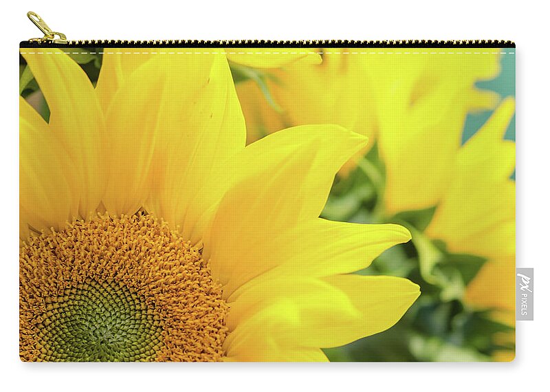 Sunflower Zip Pouch featuring the photograph Sunny by Margaret Pitcher