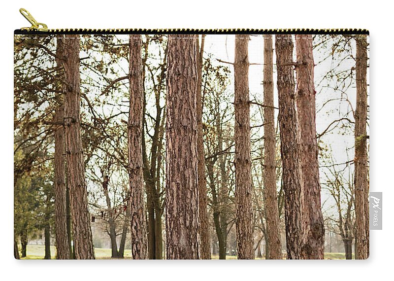 Forest Zip Pouch featuring the photograph Sunny pine tree forest by Mendelex Photography