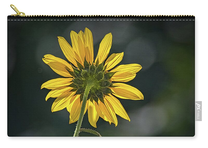 Bloom Carry-all Pouch featuring the photograph Sunny Sunflower Following the Sun by Debra Martz