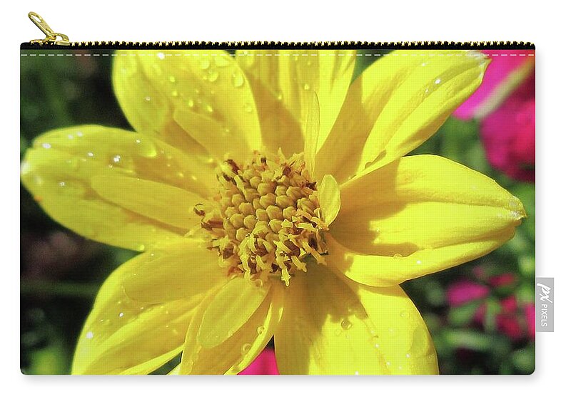 Flower Zip Pouch featuring the photograph Sunny Yellow Flower by CAC Graphics