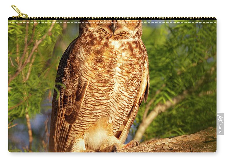 Owl Zip Pouch featuring the photograph Sunrise Owl by D Robert Franz