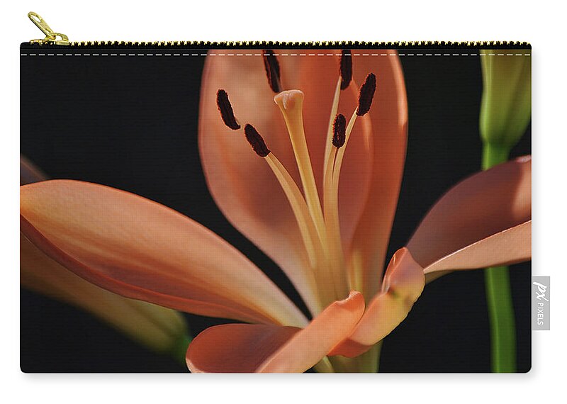 Lily Zip Pouch featuring the photograph Sunshine Lily Flower by Gaby Ethington