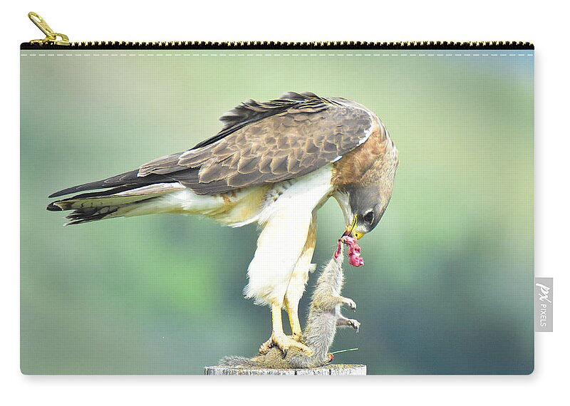 Hawk Zip Pouch featuring the photograph Survivial of the fittest by Ed Stokes