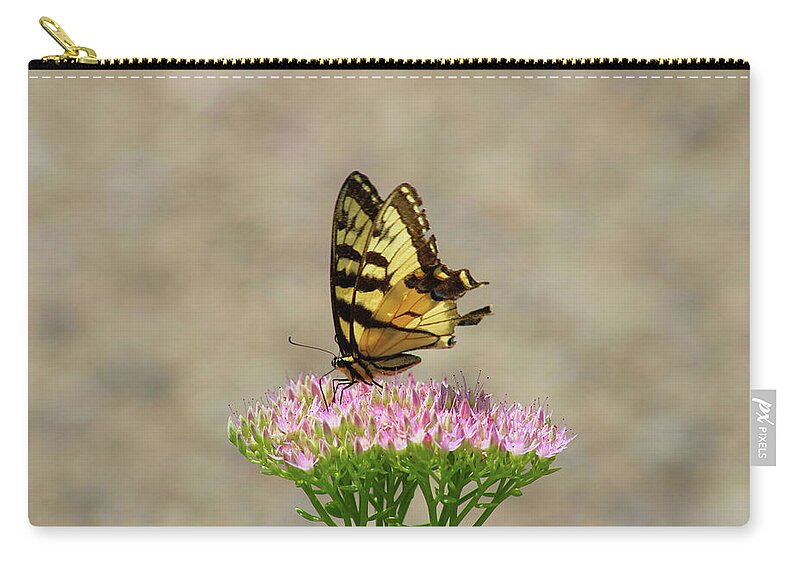 Swallowtail Carry-all Pouch featuring the photograph Swallowtail Butterfly Endures by Christopher Reed
