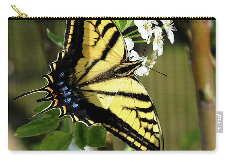 Animal Zip Pouch featuring the photograph Swallowtail Butterfly is enjoying feeding on a spring blossom by Gunther Allen