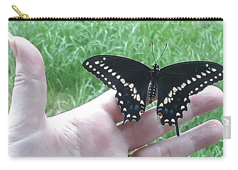 Butterfly Zip Pouch featuring the photograph Swallowtail Butterfly by Katrina Gunn