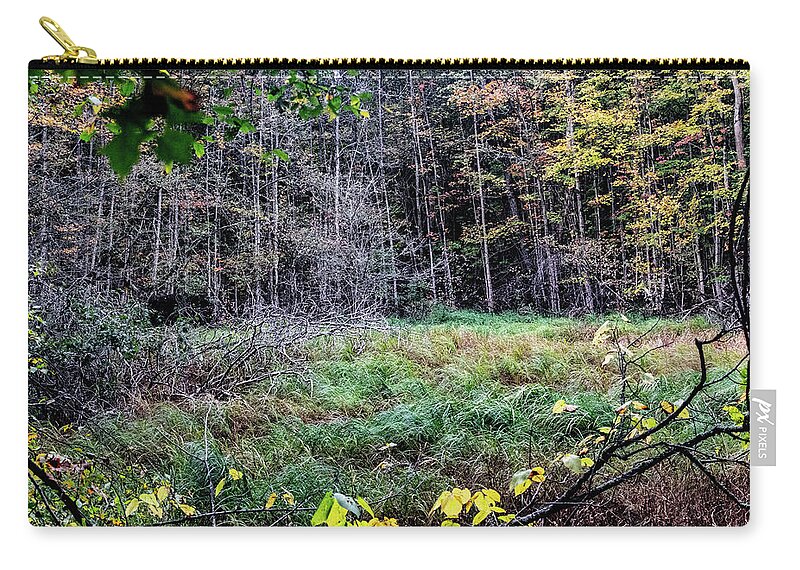 Usa Zip Pouch featuring the photograph Swamp clearing in the fall by Nathan Wasylewski