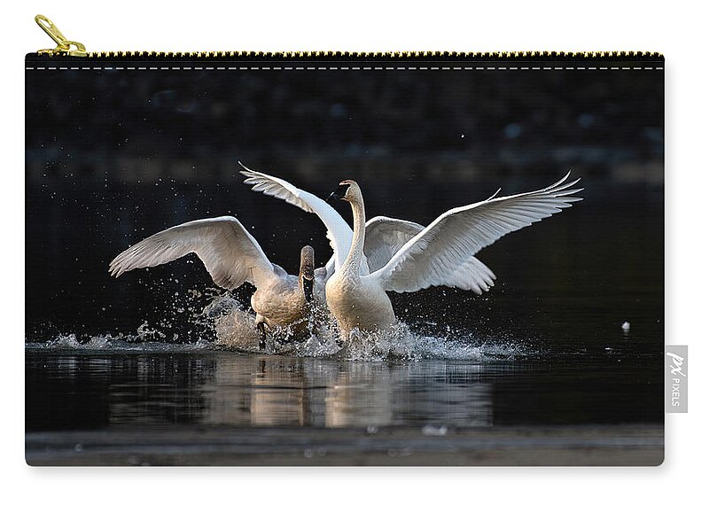 Swan Panorama Zip Pouch featuring the photograph Swan Dance by Joy McAdams