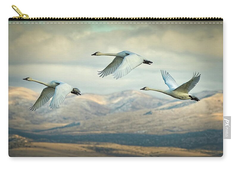  Zip Pouch featuring the photograph Swans of Carson Valley by John T Humphrey