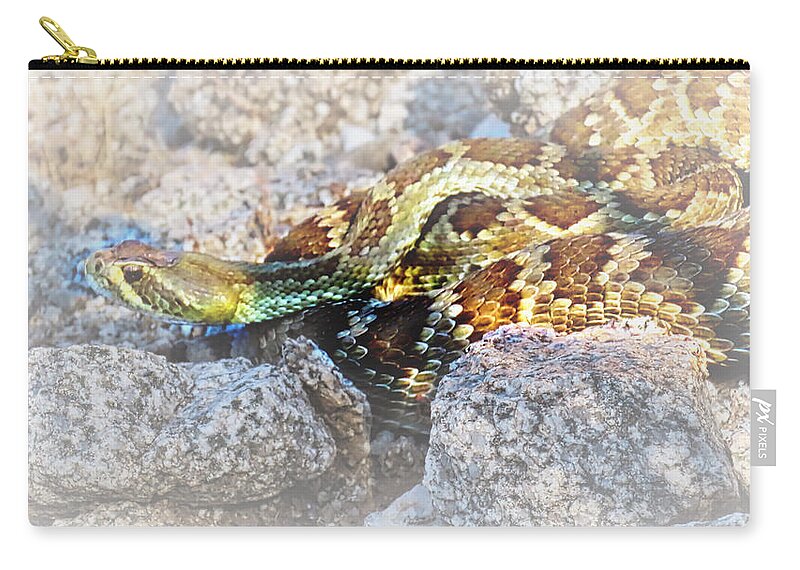 Affordable Zip Pouch featuring the photograph Sweet Honey in the Rock by Judy Kennedy