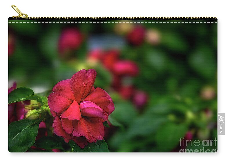 Flower Zip Pouch featuring the photograph Sweet Little Impatiens by Shelia Hunt