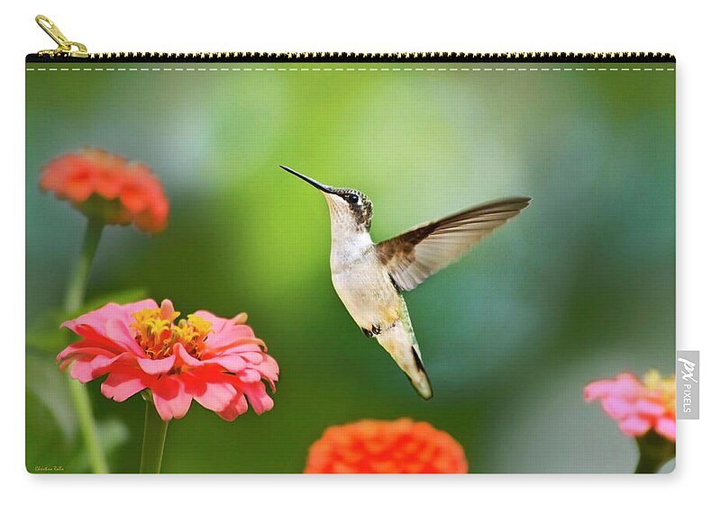 Hummingbird Zip Pouch featuring the photograph Sweet Promise Hummingbird by Christina Rollo
