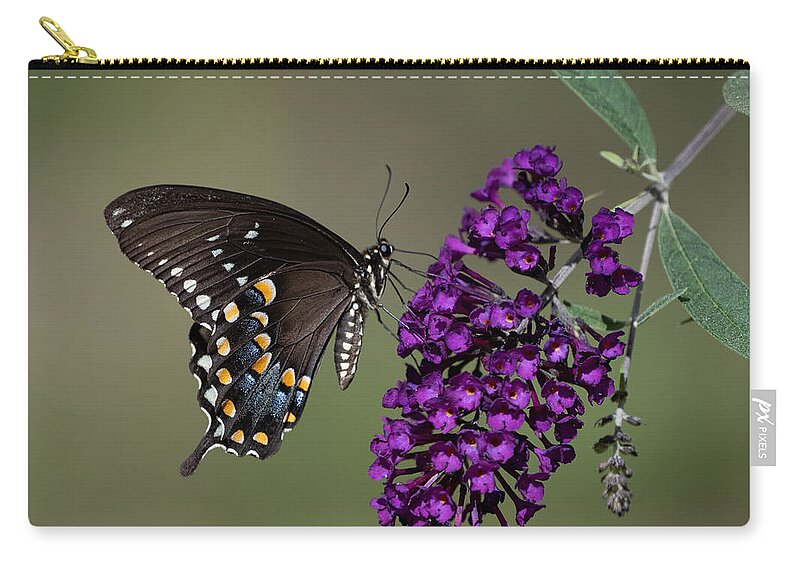 Butterfly Zip Pouch featuring the photograph Sweet Swallowtail Surprise by Linda Bonaccorsi