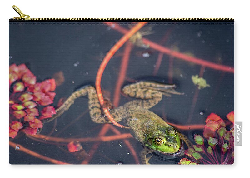 Frog Zip Pouch featuring the photograph Swimming Frog by Michael Saunders