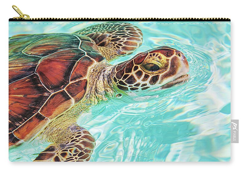 Turtle Zip Pouch featuring the photograph Swimming turtle by Tatiana Travelways