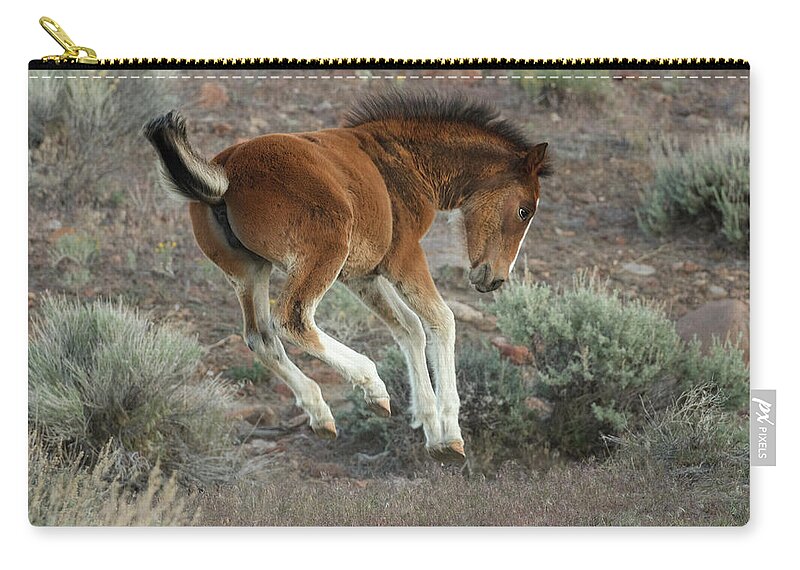  Carry-all Pouch featuring the photograph _t__2236 by John T Humphrey