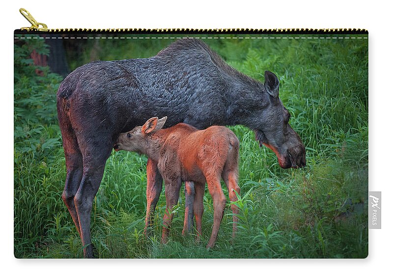 Moose Zip Pouch featuring the photograph Table for Two by Tim Newton