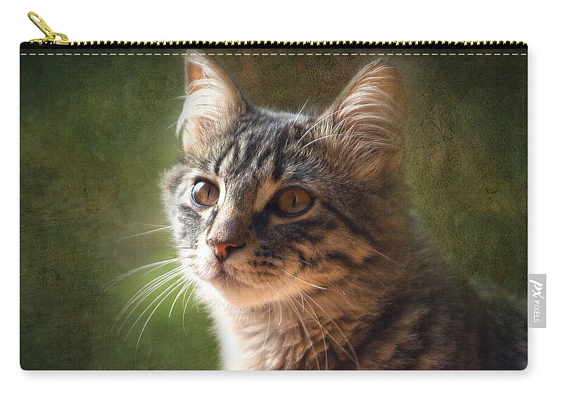 Cat Image Print Zip Pouch featuring the photograph Tabs by David Davies