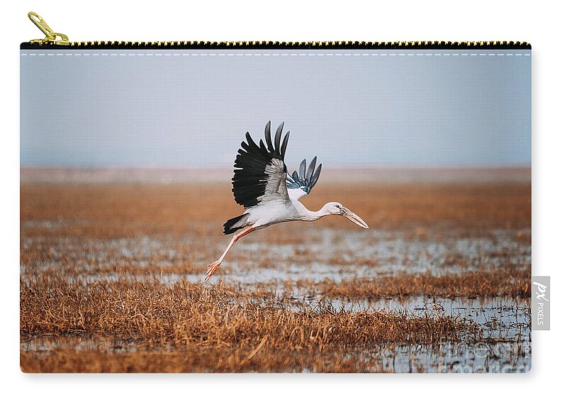 Bird Zip Pouch featuring the photograph Take Off by Dheeraj Mutha